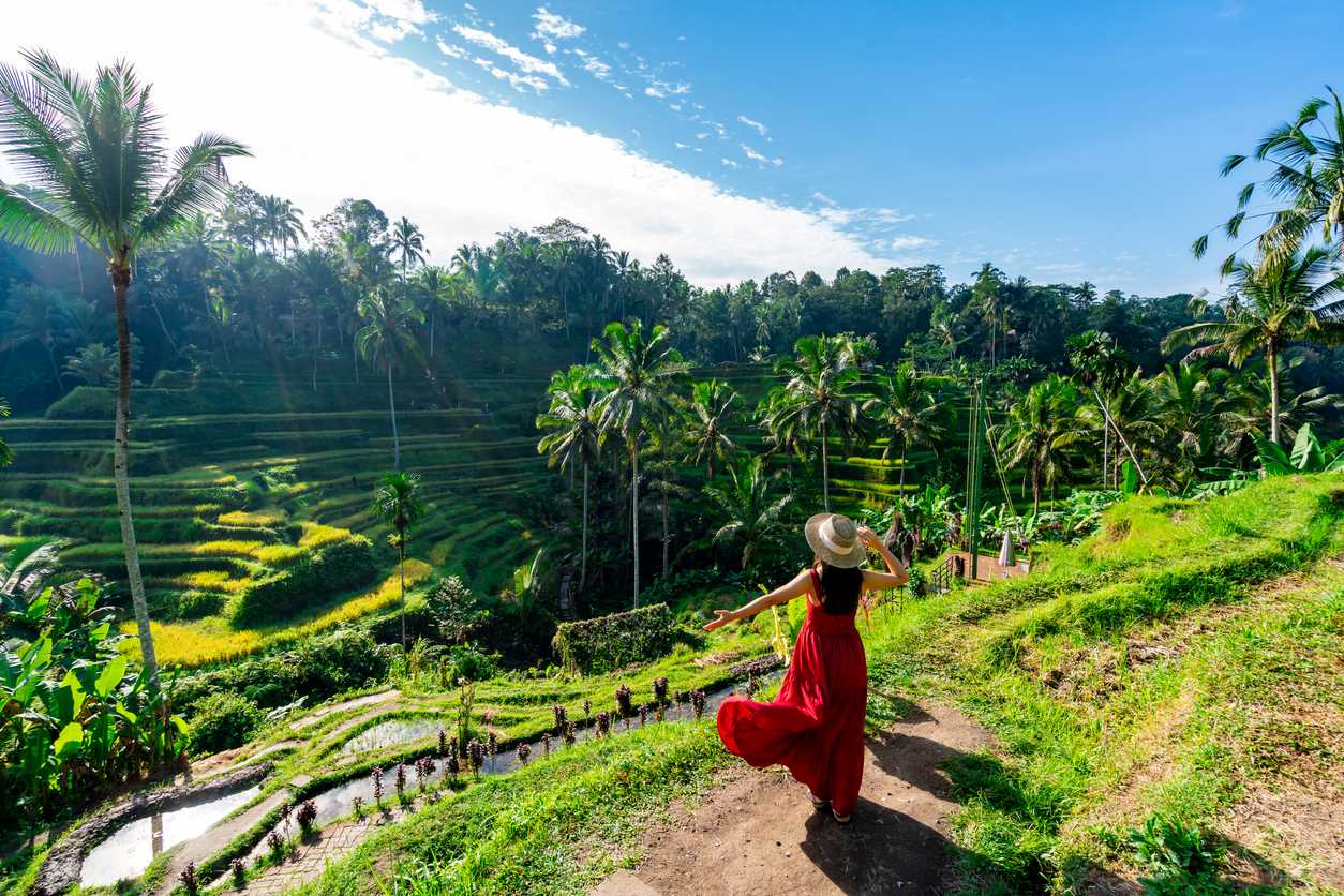 Bali Ubud Seminyak - Photo 3